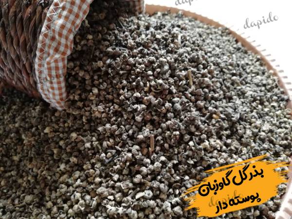 فروش بذر گل گاو زبان مازندران در بازار داخل و صادرات گل گاوزبان در بازار های صادراتی