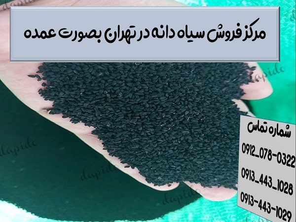 قیمت پخش عمده سیاه دانه در تهران