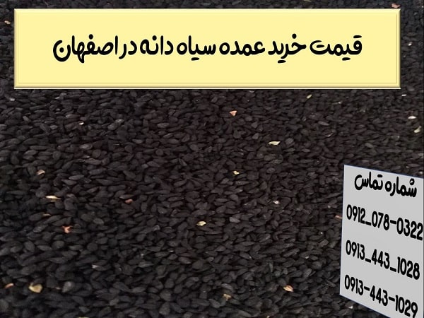 قیمت خرید عمده سیاه دانه در اصفهان