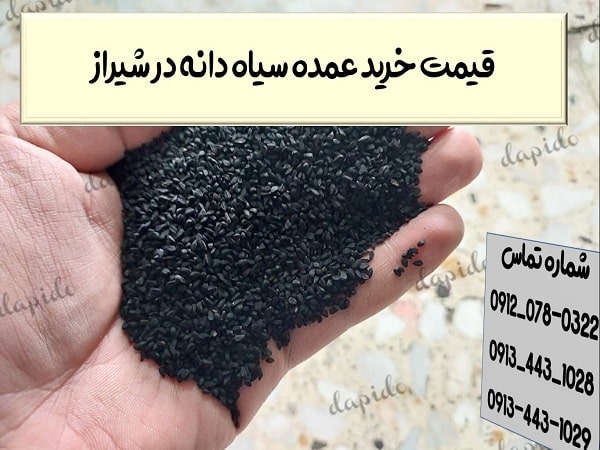 قیمت خرید عمده سیاه دانه در شیراز