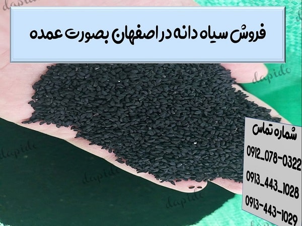 فروش سیاه دانه در اصفهان بصورت عمده