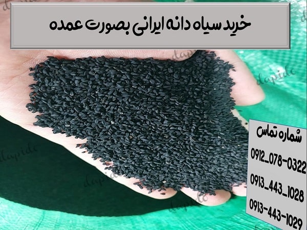 خرید سیاه دانه ایرانی بصورت عمده