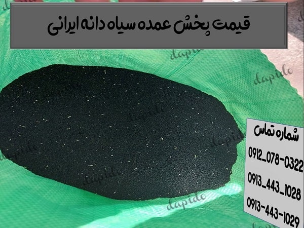 قیمت پخش عمده سیاه دانه ایرانی